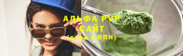 ECSTASY Белокуриха