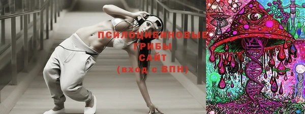 ECSTASY Белокуриха