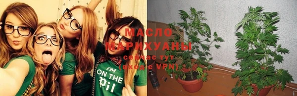 мяу мяу мука Беломорск