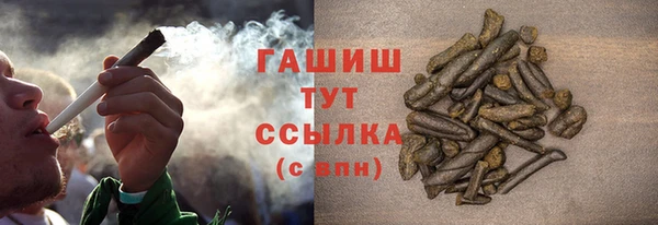 ECSTASY Белокуриха