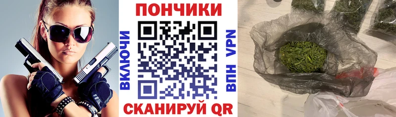 Купить где  Мезень  Канабис планчик 